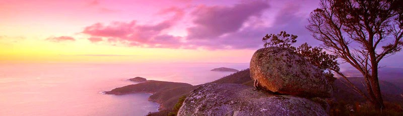 Toñi Jiménez Arias